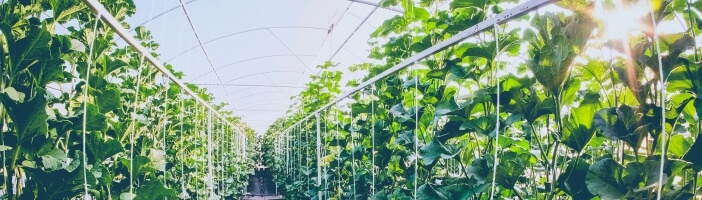 Ketogene Ernährung Nachhaltigkeit Ketogene Ernährung Nachhaltigkeit