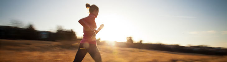 stoffwechsel stoffwechsel