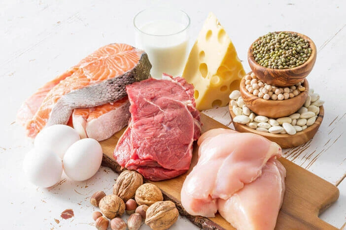 high protein food atkins diet