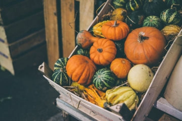 kürbis ernährung nährstoffe rezepte herbst