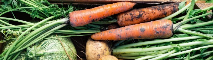 smart shoppen ernährung einkaufen gesund smart shoppen ernährung einkaufen gesund