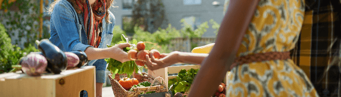 Paleo Ernährung Diät Paleo Ernährung Diät