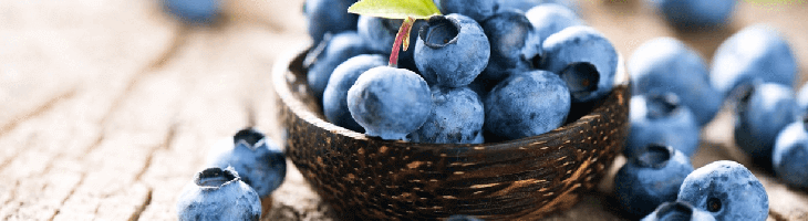 Superfood Nährstoffe gesund abnehmen