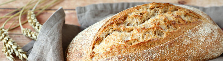 Zöliakie Gluten Glutenunverträglichkeit Zöliakie Gluten Glutenunverträglichkeit