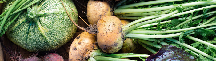 Food Trends 2020 Urban Farming