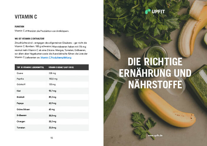 Immunsystem Guide Leseprobe