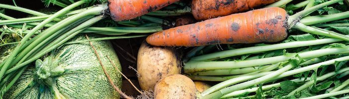 Rohkost Gemüse