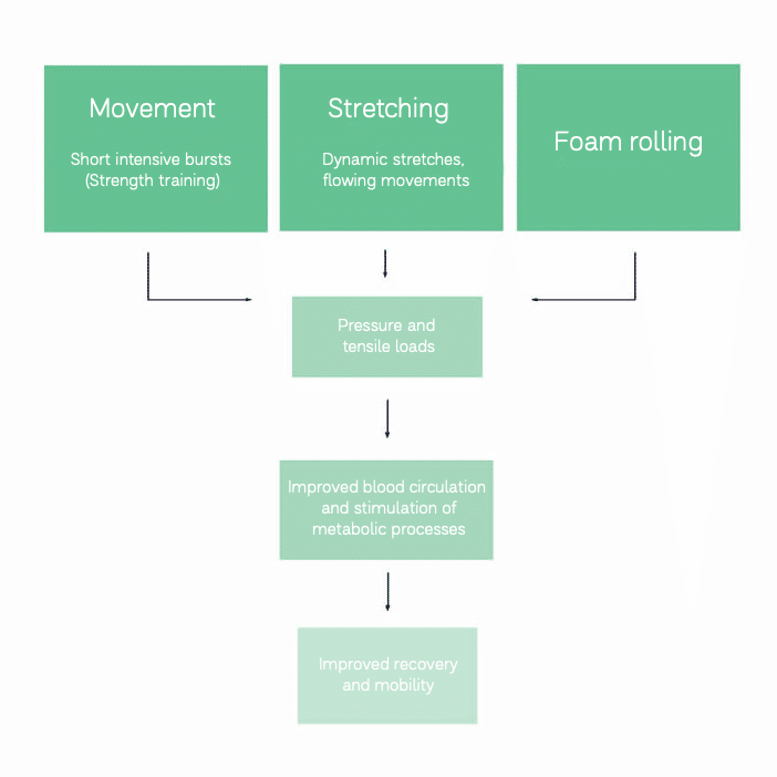 Foam rolling process diagram Foam rolling process diagram