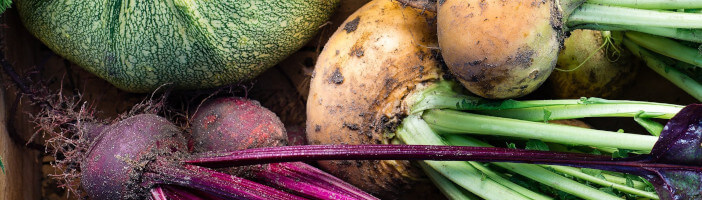 Wintergemüse Knollen Rüben Wintergemüse Knollen Rüben