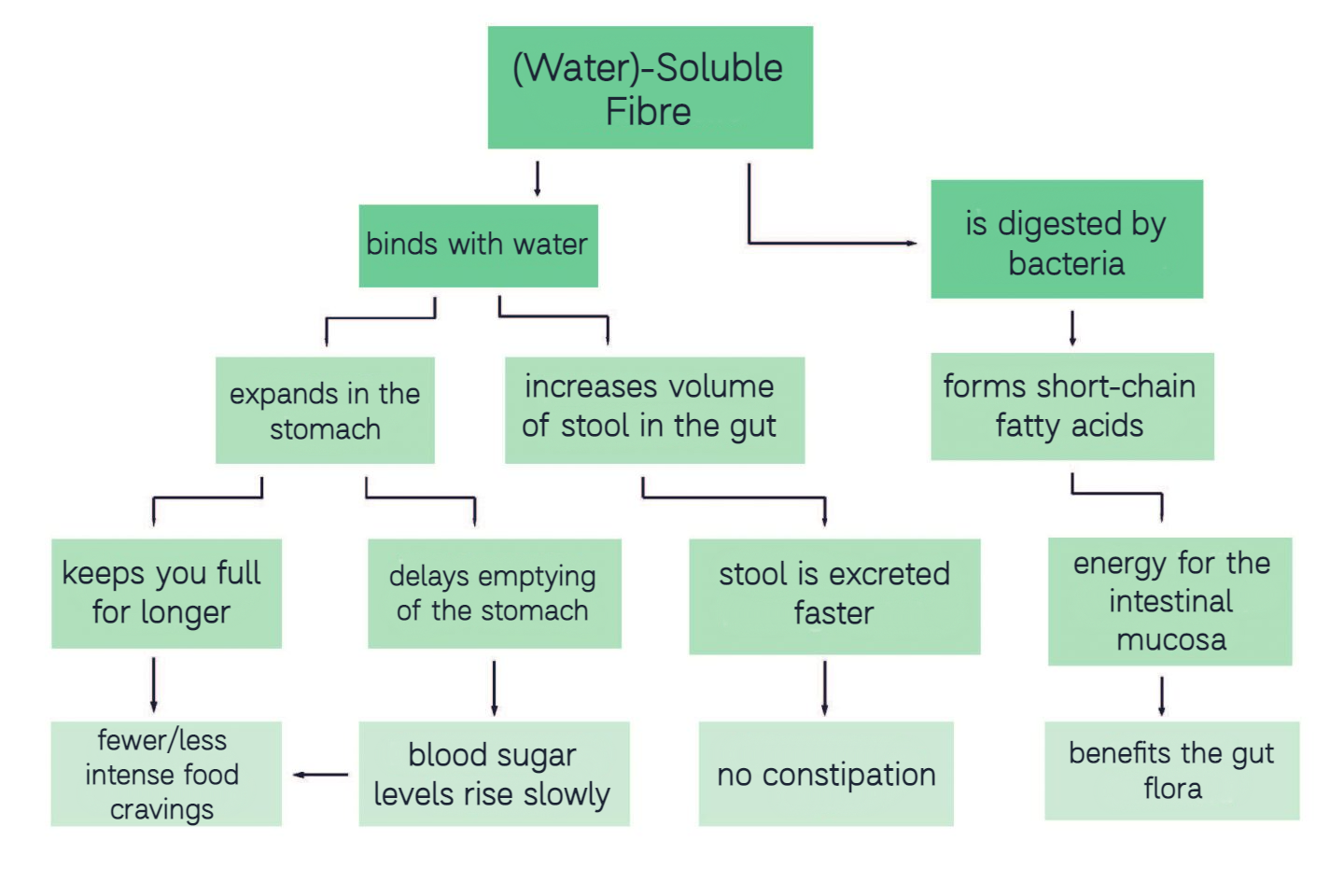 The effects of soluble fibre