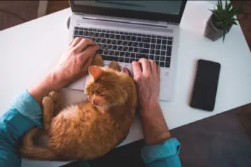 Work Life Balance