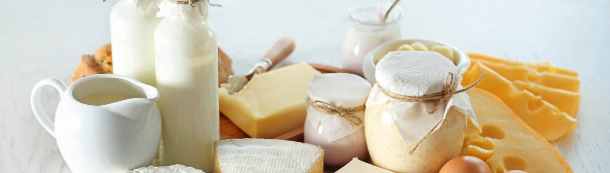 fermentierte Lebensmittel Joghurt
