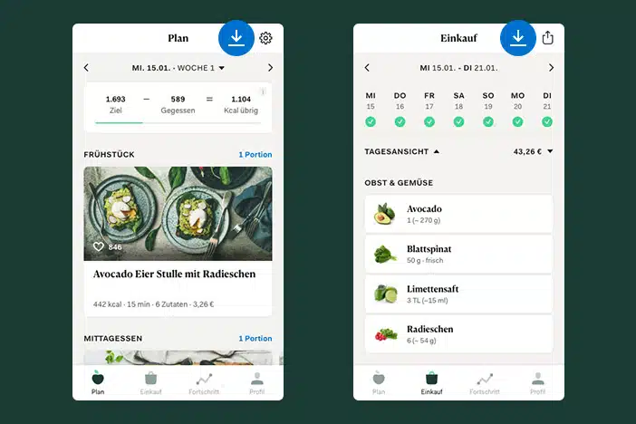 Upfit App Ernährungsplan PDF Funktion