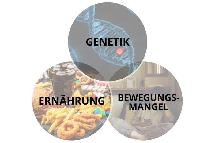 Venn-Diagramm Metabolisches Syndrom Venn-Diagramm Metabolisches Syndrom