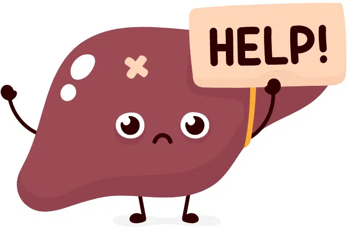Fettleber Help