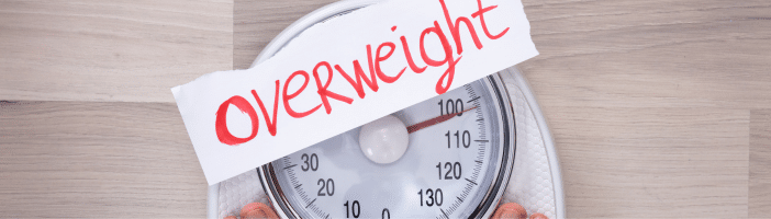 Fettleber und Übergewicht (2)