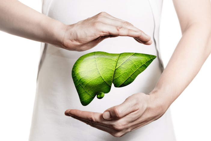 Ist eine Fettleber heilbar