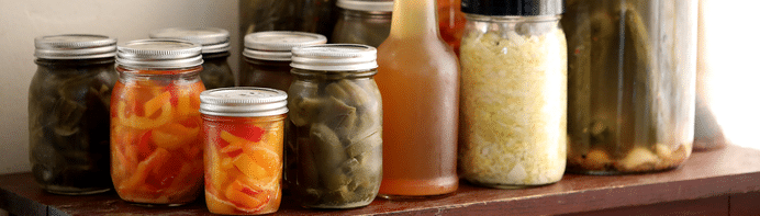 fermentiertes